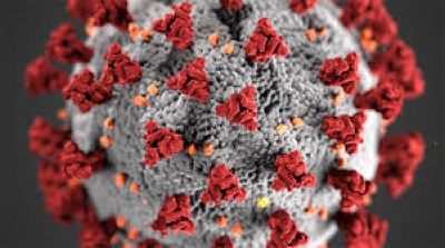 علائم، راه‌های پیشگیری و درمان ویروس کرونا